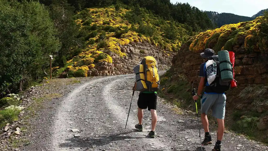 Senderismo | Trail - Look Sport 