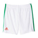 Conjunto Adidas Selección Mexicana FMF Verde Niños Unisex AC2729 - Look Sport 