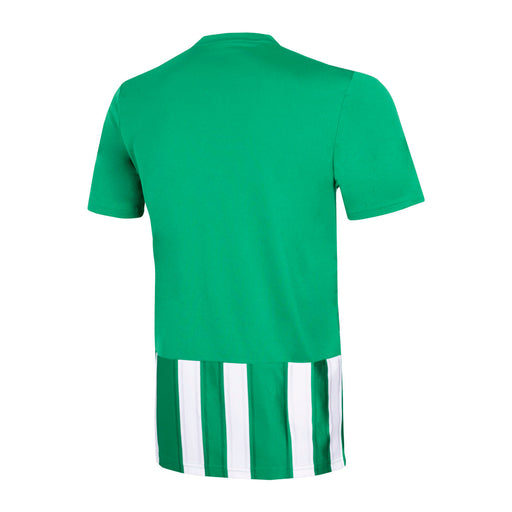 PLAYERA ADIDAS HOMBRE VERDE STRIPED 21 JSY H35644